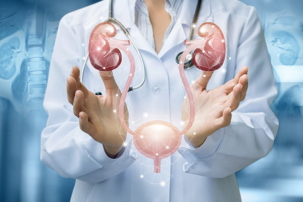 Renal/urology
